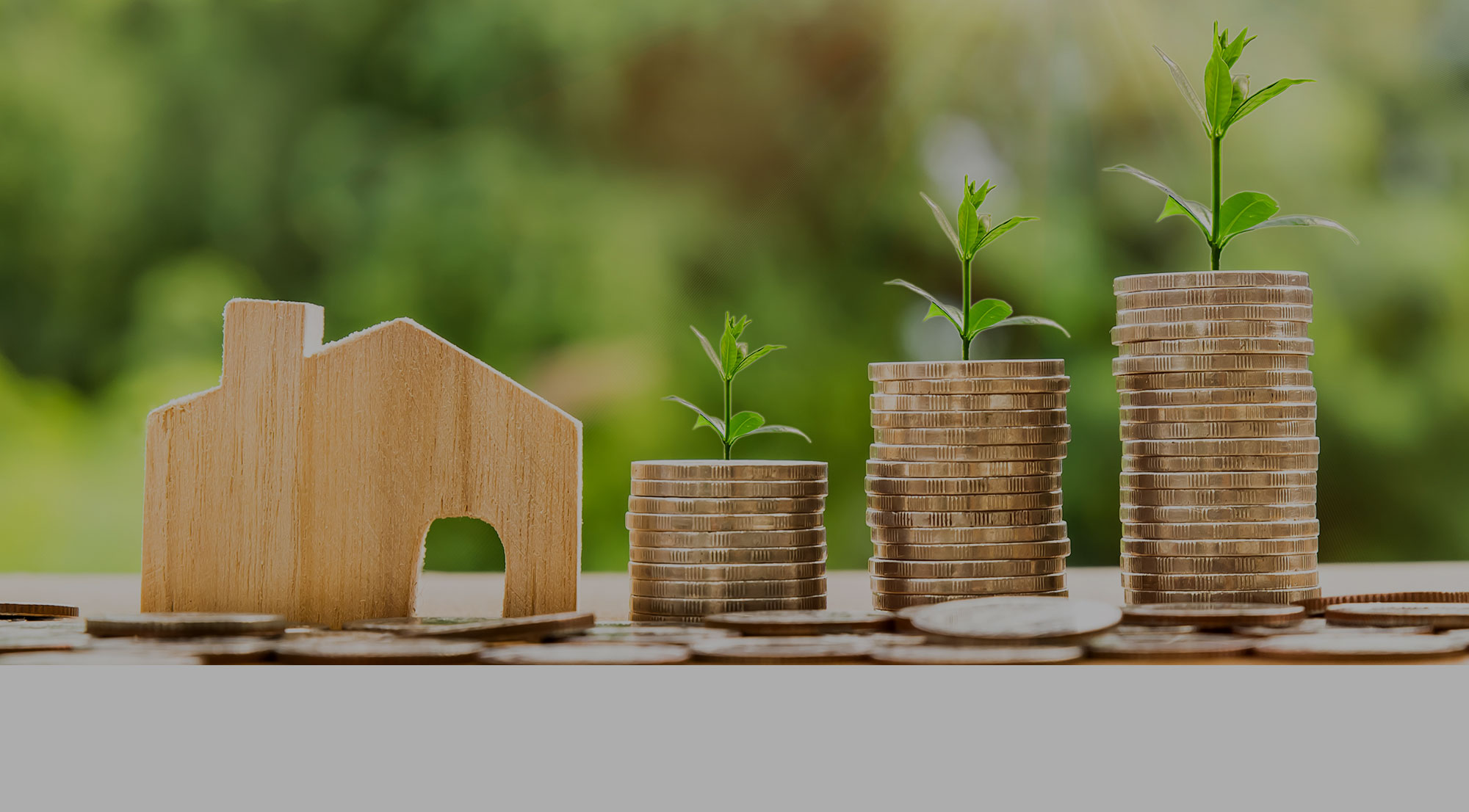 Mortgage Advisor Chester
